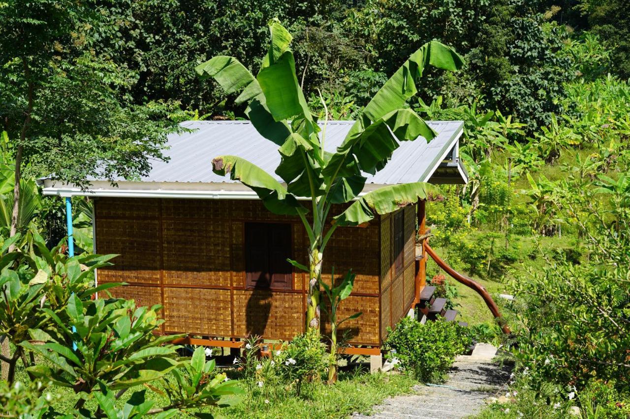 True Nature Chiang Mai - Homestay Retreat Luaran gambar