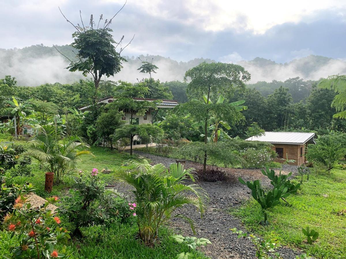 True Nature Chiang Mai - Homestay Retreat Luaran gambar