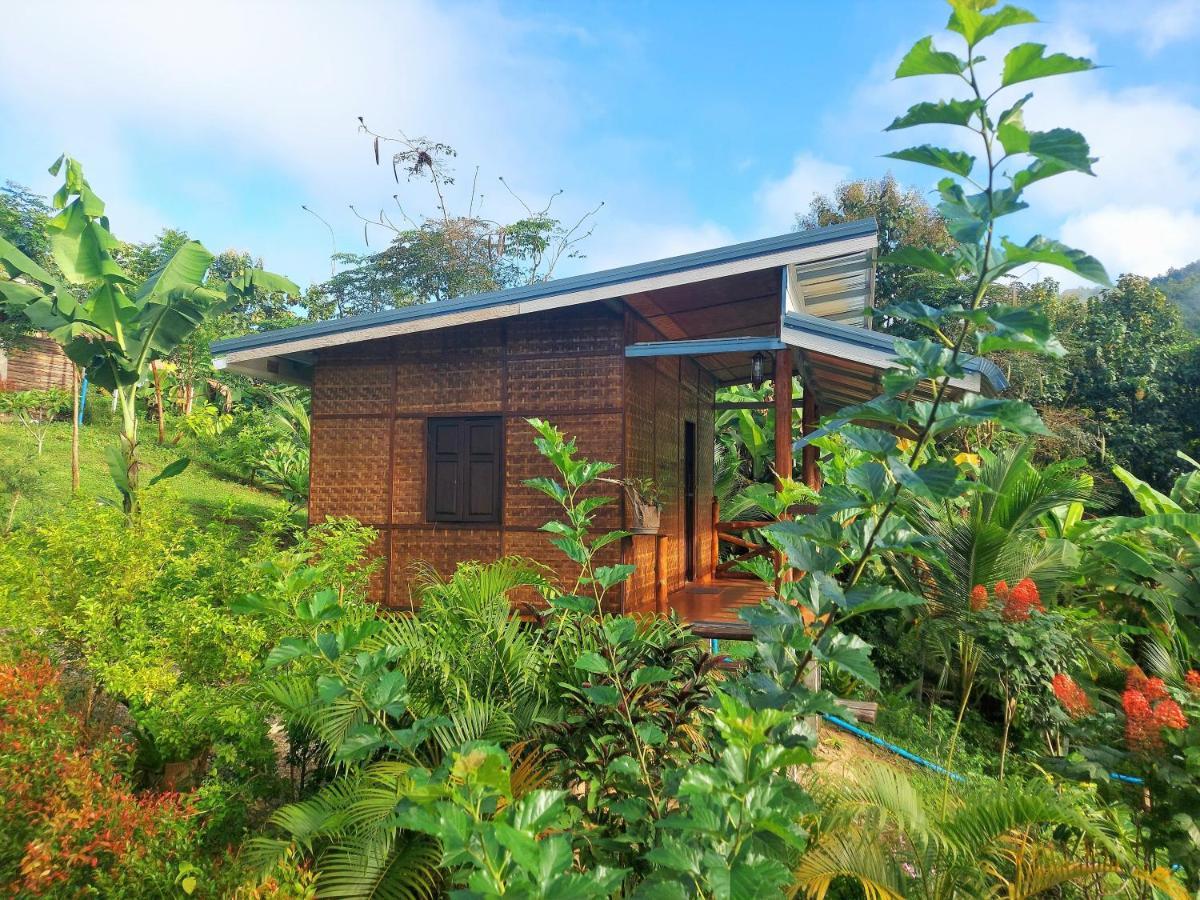 True Nature Chiang Mai - Homestay Retreat Luaran gambar