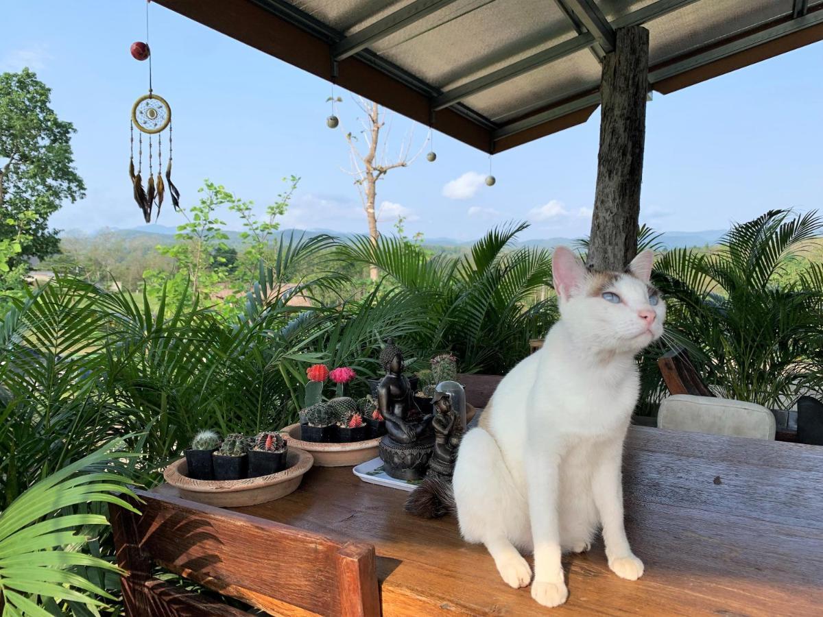 True Nature Chiang Mai - Homestay Retreat Luaran gambar