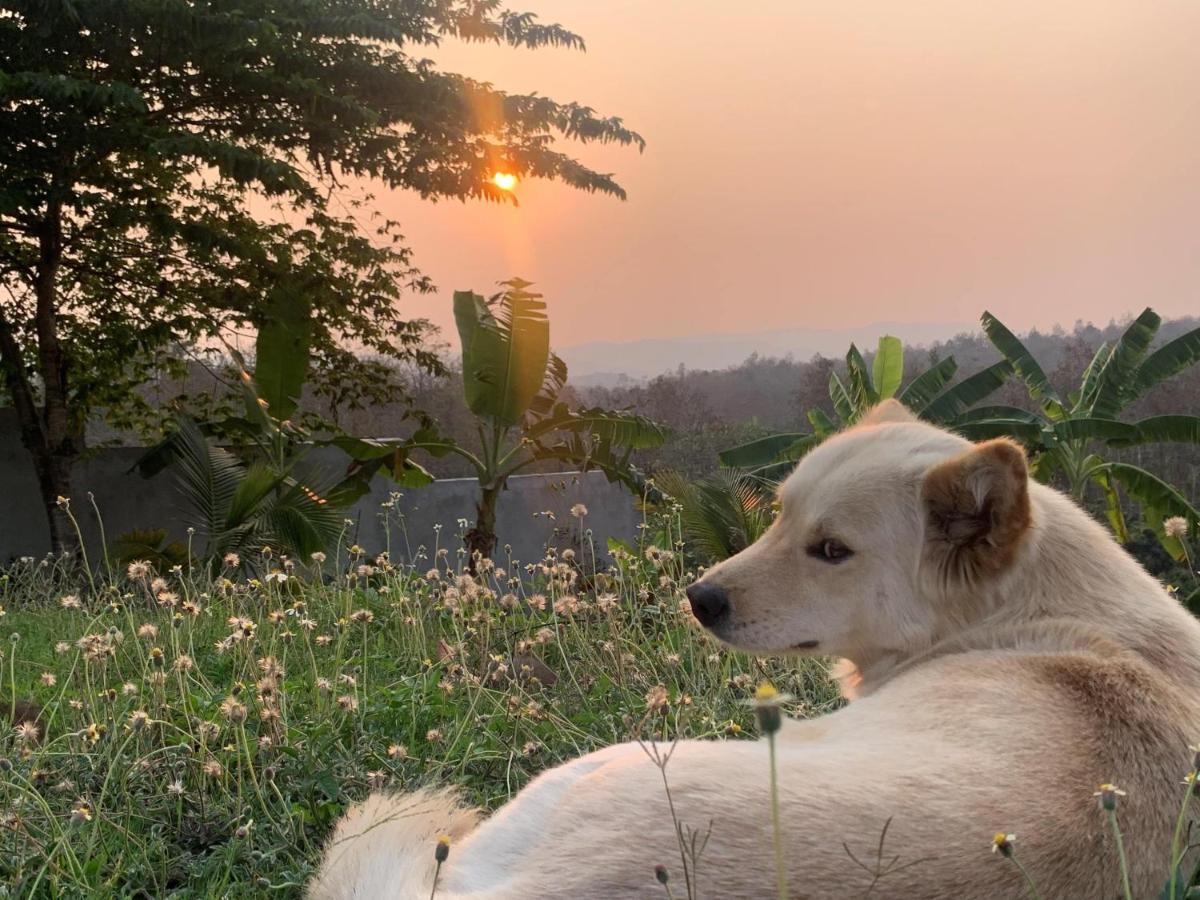True Nature Chiang Mai - Homestay Retreat Luaran gambar