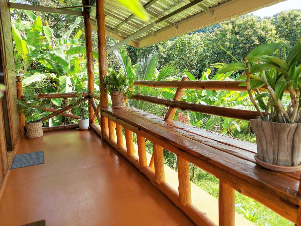 True Nature Chiang Mai - Homestay Retreat Luaran gambar